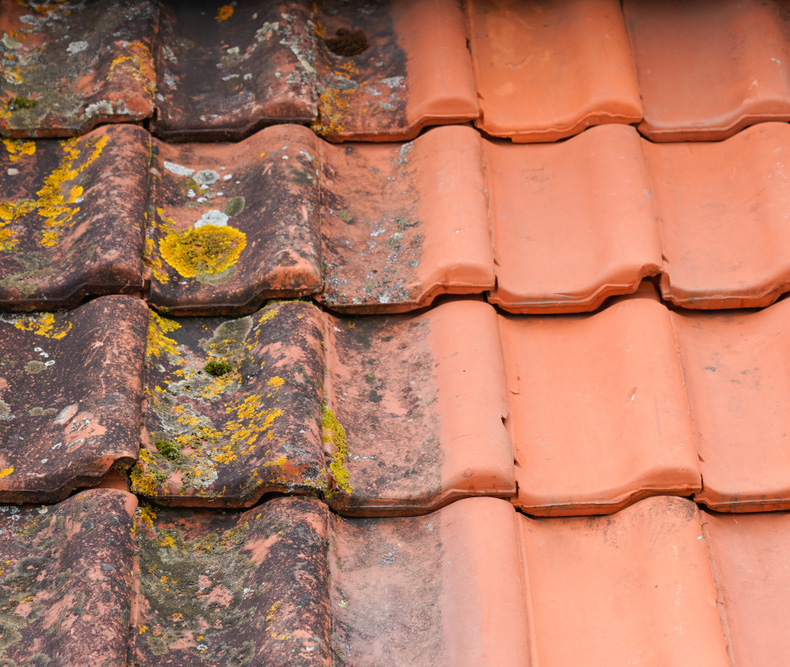 results from tiled roof cleaning service