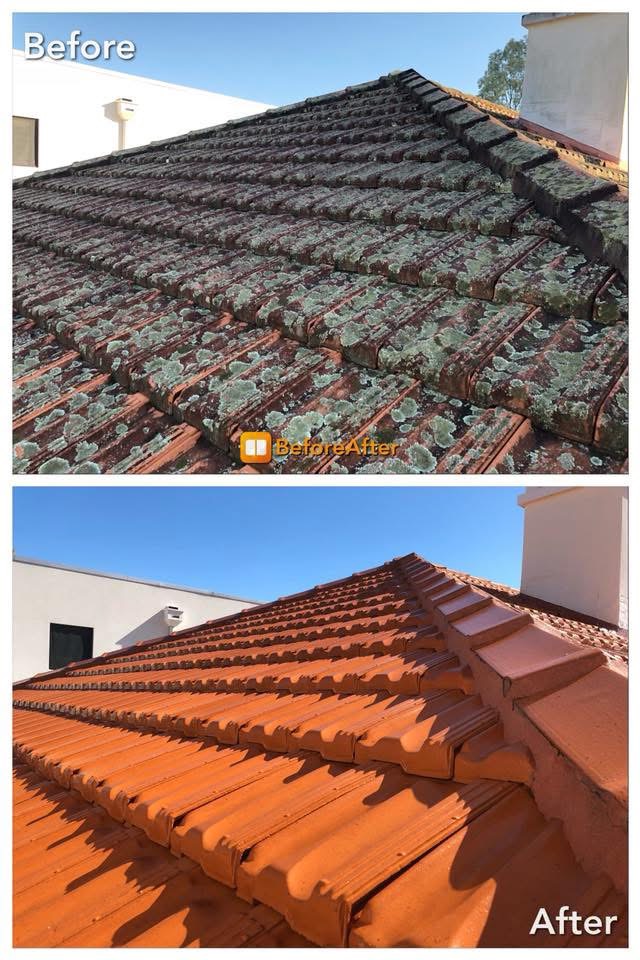 Roof cleaning
