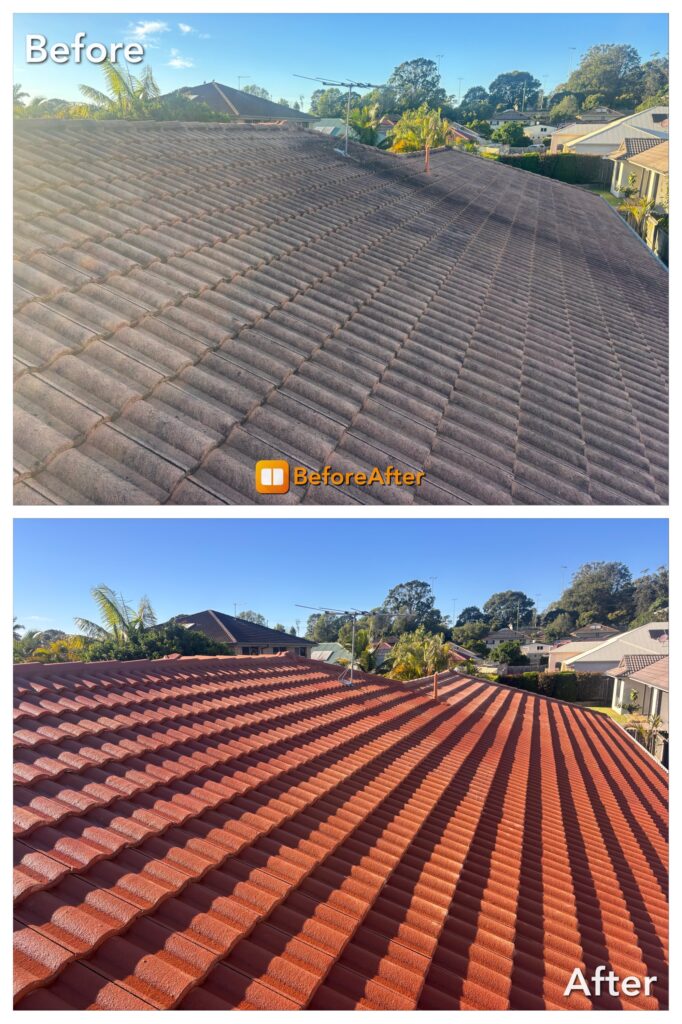 Roof Cleaning Montville Sunshine Coast